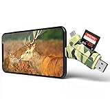 Arzopa Lettore di Schede di Memoria USB, Lettore di Scheda con Fulmine,Caccia Gioco Cam Foto e Visualizzatore per iPhone iPad MacBook Android