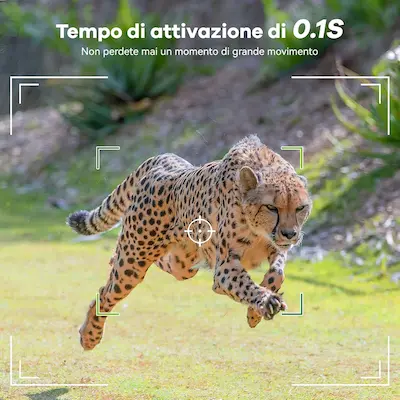 Recensione fototrappola DEATTI DET-T4: caratteristiche e prestazioni 15 immagine caratteristiche fototrappola deatti t4