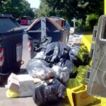 Fototrappole con IA a Bari