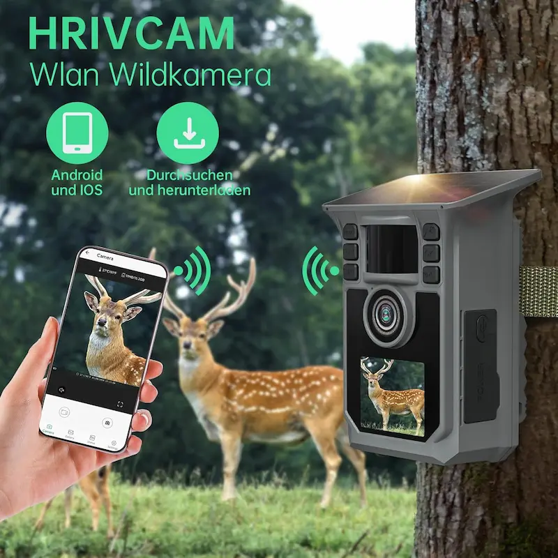 Hrivcam HR-HC13 WiFi integrato app TrailCam GO