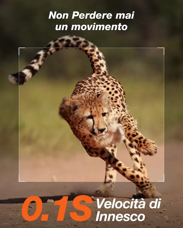 iZEEKER iG220 Montaggio albero e treppiede installazione