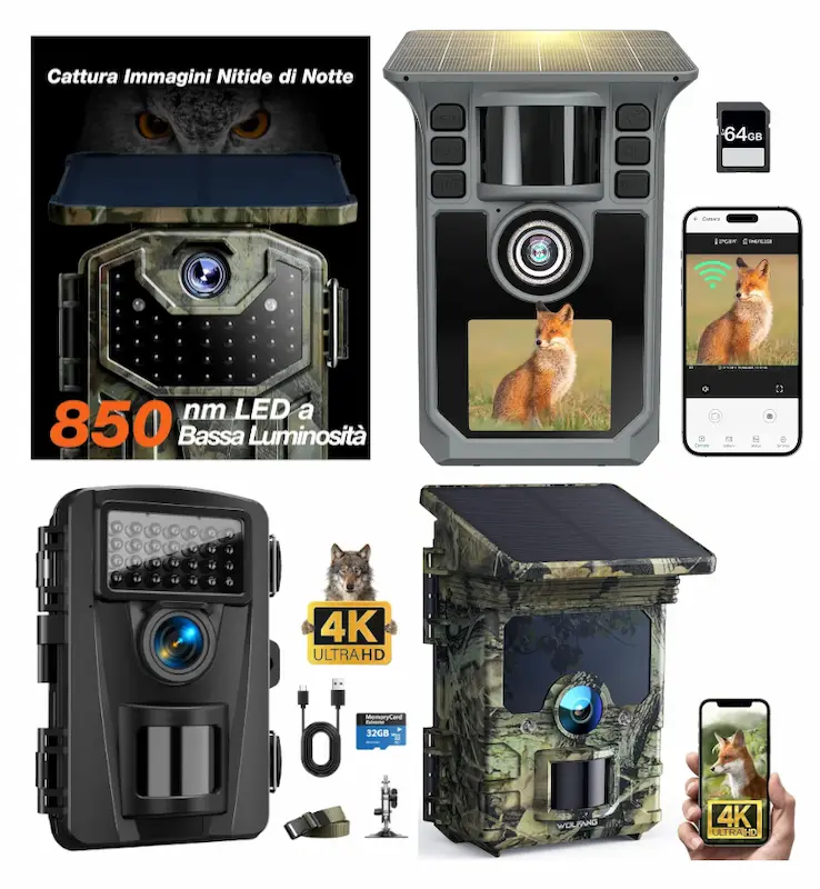 Confronto Hrivcam vs CamZeste vs Wolfang vs iZeeker